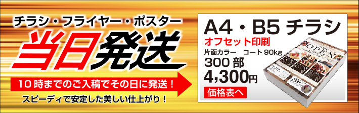 A4B5チラシ・フライヤー300部