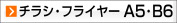 A5,B6 チラシ、フライヤー（オフセット印刷）